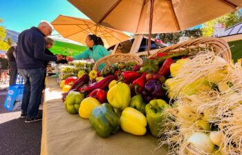 a photo of some fresh garden vegetables on a table with a vendor and customer in the background